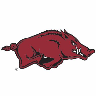Arkansas Razorbacks Phone Cases