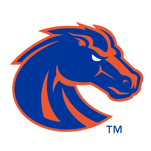 Boise State Broncos Phone Cases