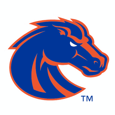 Boise State Broncos Phone Cases