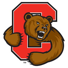 Cornell Big Red Phone Cases