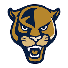 FIU Panthers Phone Cases