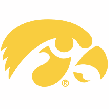 Iowa Hawkeyes Phone Cases