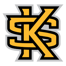 Kennesaw State Owls Phone Cases