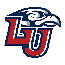 Liberty Flames Phone Cases