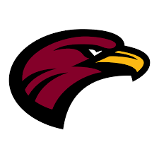 Louisiana-Monroe Warhawks Phone Cases