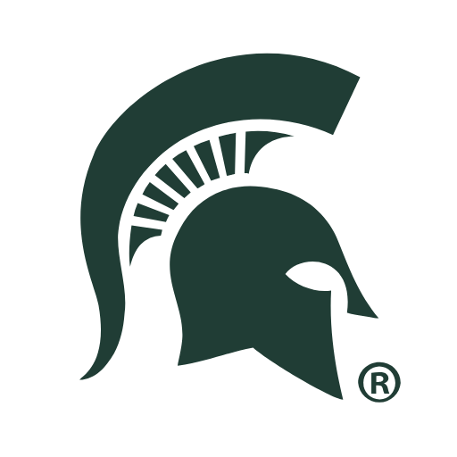Michigan State Spartans Phone Cases