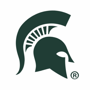 Michigan State Spartans Phone Cases
