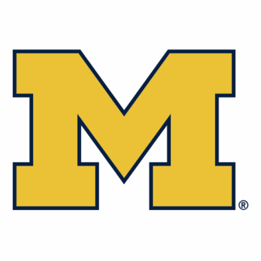 Michigan Wolverines Phone Cases