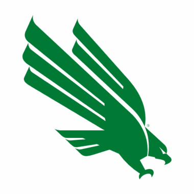North Texas Mean Green Phone Cases