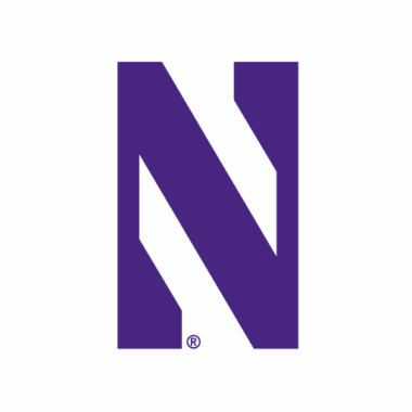 Northwestern Wildcats Phone Cases