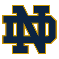 Notre Dame Fighting Irish Phone Cases