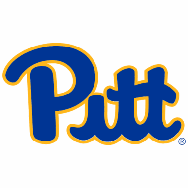 Pittsburgh Panthers Phone Cases