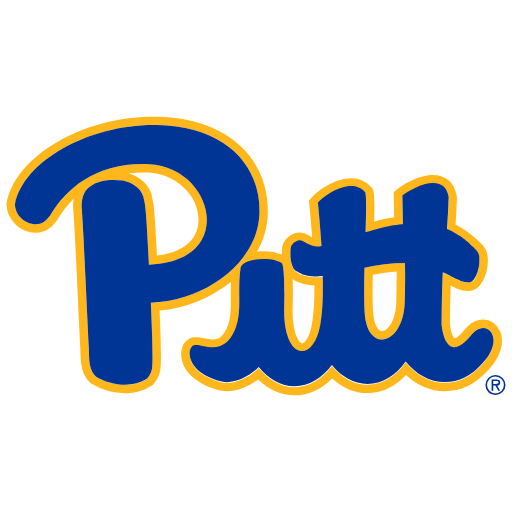 Pittsburgh Panthers Phone Cases