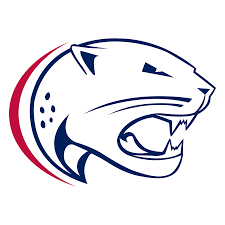 South Alabama Jaguars Phone Cases