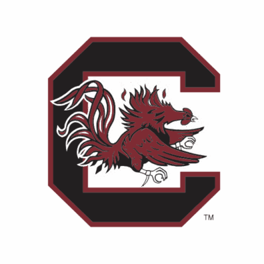 South Carolina Gamecocks Phone Cases