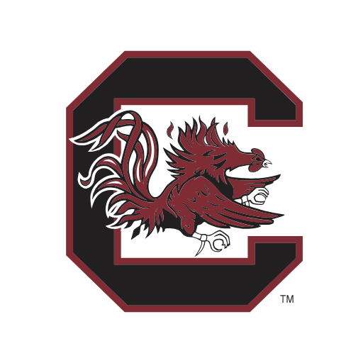 South Carolina Gamecocks Phone Cases