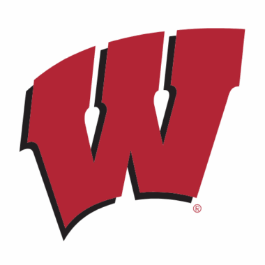Wisconsin Badgers Phone Cases