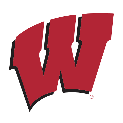 Wisconsin Badgers Phone Cases