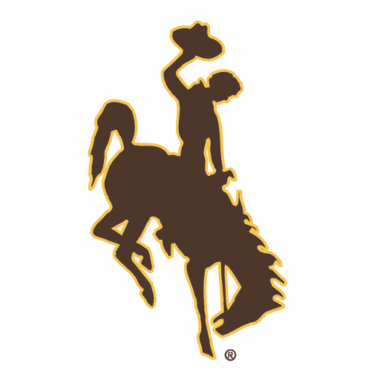 Wyoming Cowboys Phone Cases