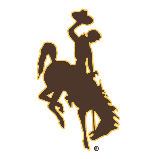 Wyoming Cowboys Phone Cases