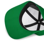 boston-celtics-cap-customized-flat-illustration-green-white-best-selling.webp