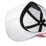 detroit-red-wings-cap-custom-blazing-fire-red-best-selling.webp