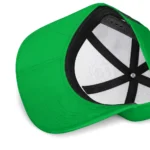 marshall-thundering-herd-cap-custom-flat-illustration-green-white-best-selling.webp