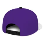 minnesota-vikings-cap-custom-flat-illustration-purple-white-best-selling.webp