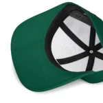 north-dakota-state-bison-cap-personalized-flat-illustration-green-white-best-selling.webp