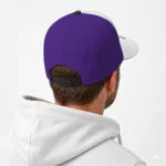 northwestern-wildcats-cap-customized-flat-illustration-purple-white-best-selling.webp