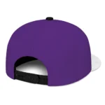 sacramento-kings-cap-customized-flat-illustration-purple-white-best-selling.webp