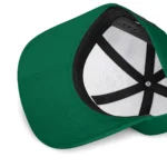 saskatchewan-roughriders-cap-customized-flat-illustration-green-white-best-selling.webp