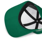 south-florida-bulls-cap-personalized-smoke-flames-green-best-selling.webp